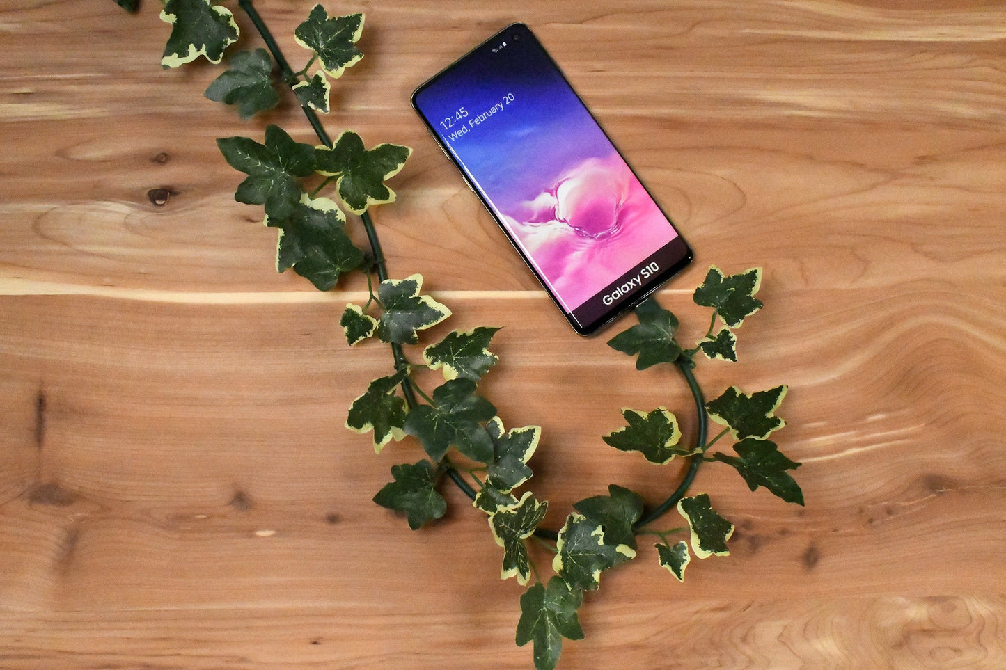 LeafLine | USB-C Cable with Variegated Ivy Leaves