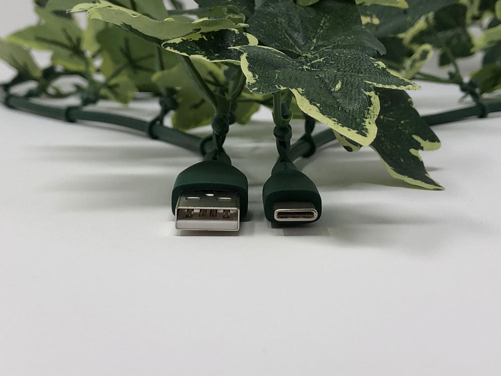 LeafLine | USB-C Cable with Variegated Ivy Leaves