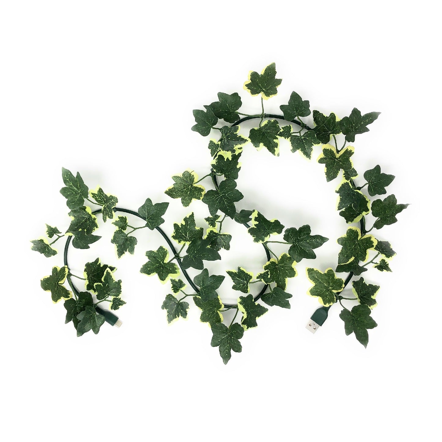 LeafLine | USB-C Cable with Variegated Ivy Leaves